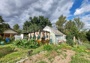 Дом 55м², 1-этажный, участок 22 сот.