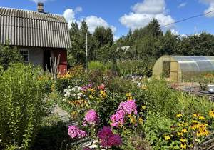 Дом 44м², 1-этажный, участок 12 сот.