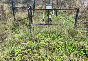 Дом 20м², 1-этажный, участок 6 сот.