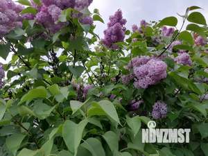 Дом 150м², 2-этажный, участок 12 сот.