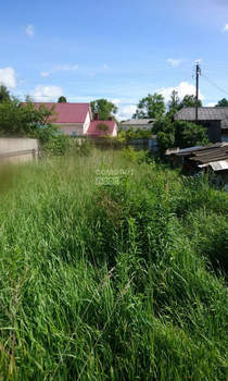 Дом 43м², 1-этажный, участок 6 сот.