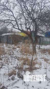 Дом 20м², 1-этажный, участок 5 сот.