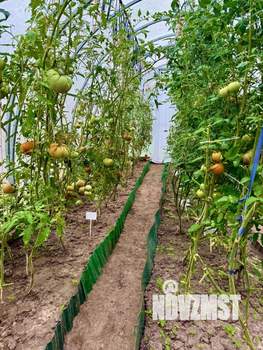 Дом 25м², 1-этажный, участок 7 сот.