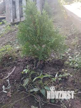 Дом 20м², 2-этажный, участок 10 сот.