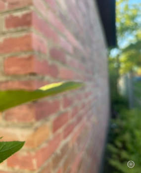 Дом 35м², 1-этажный, участок 6 сот.