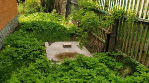 Дом 55м², 1-этажный, участок 6 сот.