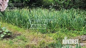 Дом 61м², 1-этажный, участок 15 сот.