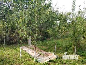 Дом 12м², 1-этажный, участок 9 сот.