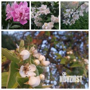 Дом 150м², 2-этажный, участок 12 сот.