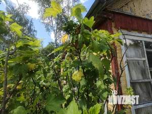 Дом 25м², 1-этажный, участок 7 сот.