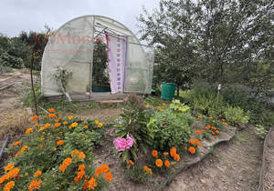 Дом 25м², 1-этажный, участок 7 сот.  