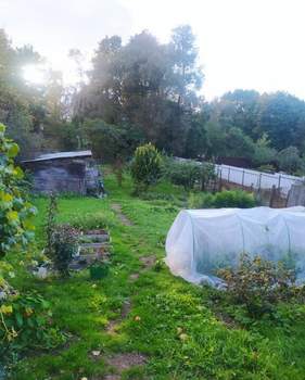 Дом 45м&sup2;, 1-этажный, участок 10 сот.  