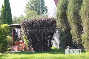 Дом 182м², 2-этажный, участок 10 сот.  