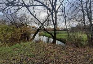 Дом 56м&sup2;, 2-этажный, участок 719 сот.  