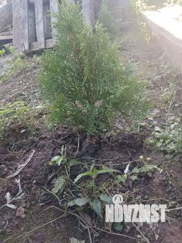 Дом 25м², 2-этажный, участок 10 сот.  