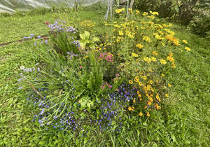 Дом 18м², 1-этажный, участок 10 сот.  