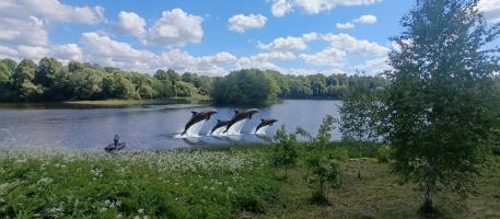 Дом 80м&sup2;, 1-этажный, участок 54 сот.  , 8 км от города