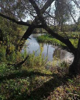 Дом 56м², 2-этажный, участок 719 сот.  