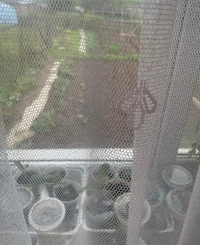 Дом 40м&sup2;, 1-этажный, участок 2 сот.  