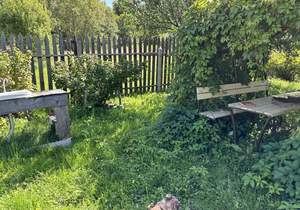 Дом 44м², 1-этажный, участок 12 сот.  