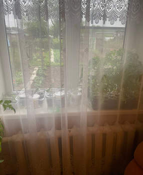 Дом 40м&sup2;, 1-этажный, участок 2 сот.  