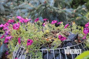 Дом 182м², 2-этажный, участок 10 сот.  