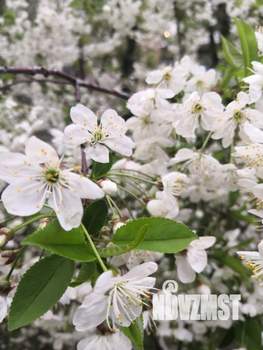 Дом 150м&sup2;, 2-этажный, участок 12 сот.  