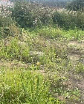 Дом 120м², 1-этажный, участок 15 сот.  