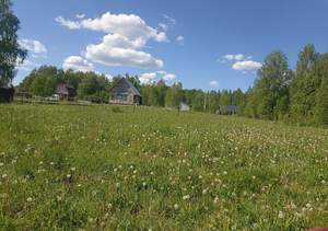 Дом 24м&sup2;, 1-этажный, участок 12 сот.  