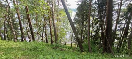 Дом 100м&sup2;, 2-этажный, участок 12 сот.  , 100 км от города