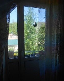 Фото комнаты на продажу (3)