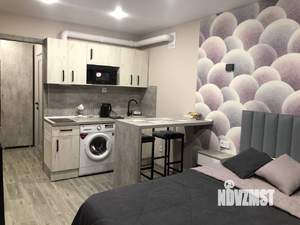 Студия квартира, посуточно, 24м2, 7/10 этаж