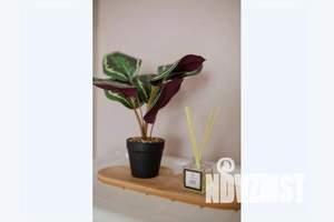 1-к квартира, посуточно, 32м2, 10/10 этаж