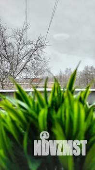 1-к квартира, посуточно, 33м2, 6/9 этаж