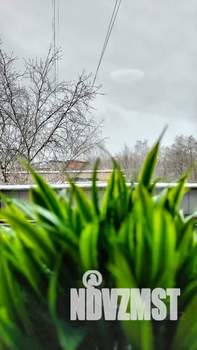 1-к квартира, посуточно, 33м2, 6/9 этаж