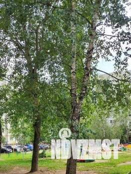 3-к квартира, на длительный срок, 64м2, 7/9 этаж