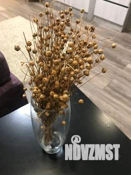 1-к квартира, посуточно, 38м2, 5/10 этаж