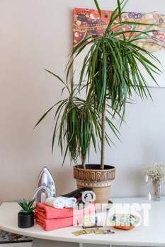 3-к квартира, посуточно, 47м2, 3/5 этаж