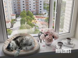 1-к квартира, вторичка, 42м2, 6/10 этаж