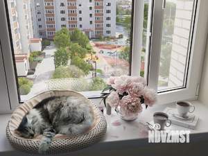 2-к квартира, вторичка, 68м2, 3/10 этаж