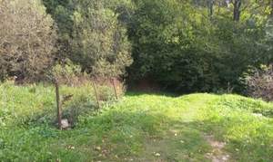 1-к квартира, вторичка, 18м2, 1/1 этаж