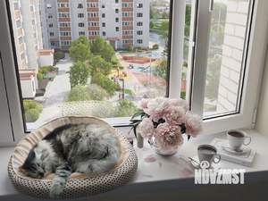 1-к квартира, строящийся дом, 47м2, 7/10 этаж