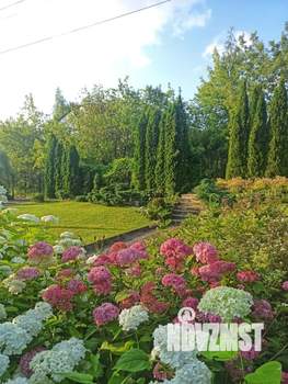 5-к квартира, вторичка, 240м2, 2/4 этаж