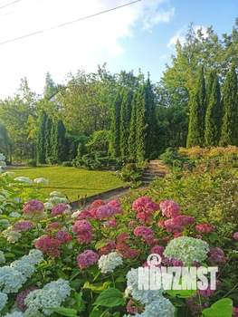 6-к квартира, вторичка, 240м2, 2/4 этаж