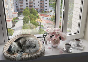 2-к квартира, вторичка, 53м2, 6/10 этаж