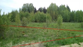 Фото земельные участки на продажу (4)